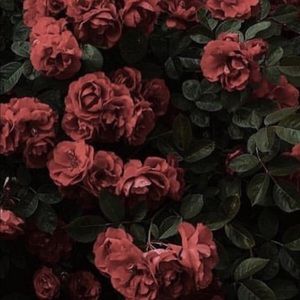 Meet your Posher, Jordynn